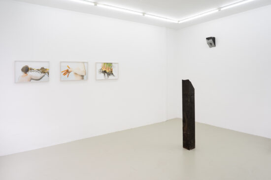 PAW Galerie I Johanna Wagner